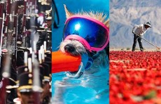 Meksika mustaqilligining 213 yilligiga bag'ishlangan harbiy parad, Xitoydagi chili qalampiri terimi, Yaponiyadagi "Formula-1" Gran-prisi. Hafta suratlari