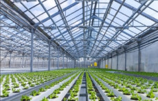 Olimlar yoqilg‘isiz ekoissiqxonalarni taklif qilmoqda