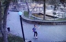 В Ташкентском зоопарке девочка издевалась над бегемотом