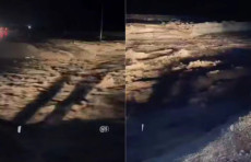 Forish tumaniga sel keldi, 30 ga yaqin xonadonga suv kirdi