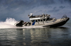 AQSh chegarasini kesib o‘tishga uringan to‘rt o‘zbekistonlik qo‘lga olindi