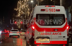Qizini ayiq qafasiga uloqtirgan ona 4 yil o‘tib uni pichoqlab o‘ldirdi