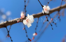 Mart oyida ob-havo qanday bo‘ladi?