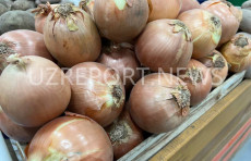 O‘zbekistonda piyoz narxi bir oy ichida 40%ga arzonlashdi